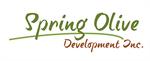 Developer Logo