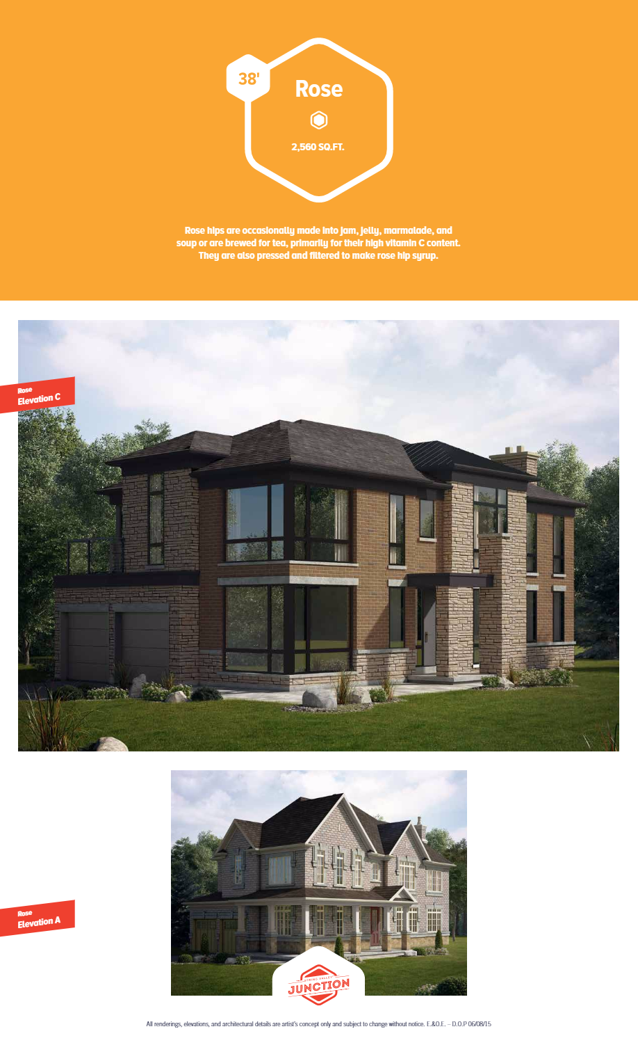 The Rose floor plan at Spring Valley Junction in Brampton, ON