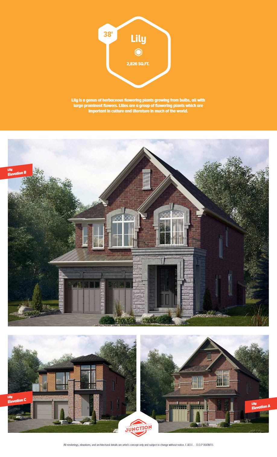 The Lily floor plan at Spring Valley Junction in Brampton, ON