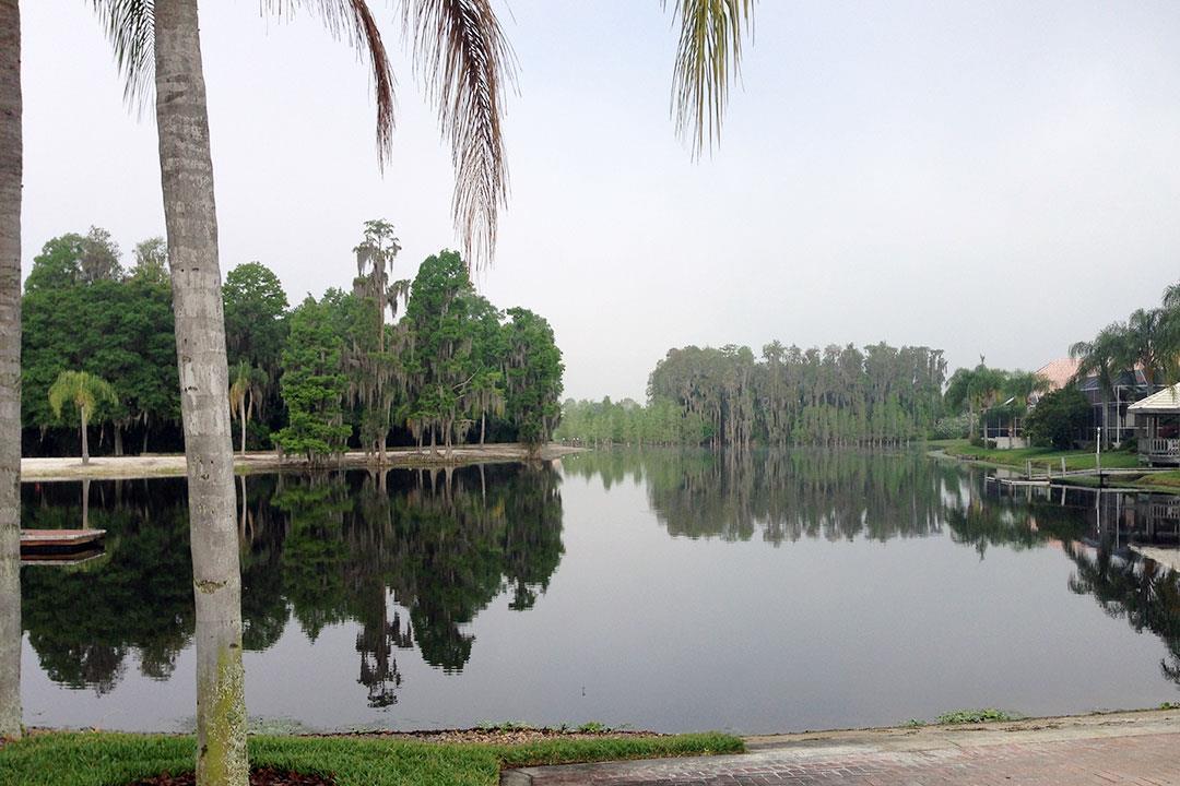 Cory Lake Isles in Tampa, FL Prices, Plans, Availability