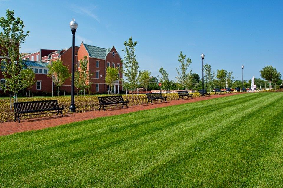 Potomac Yard in Alexandria, VA Prices, Plans, Availability