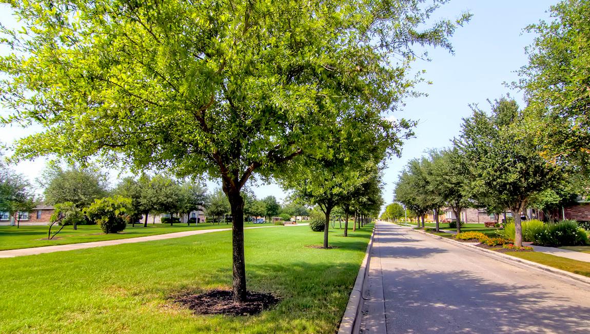 Highland Park in Pflugerville, TX Prices, Plans, Availability