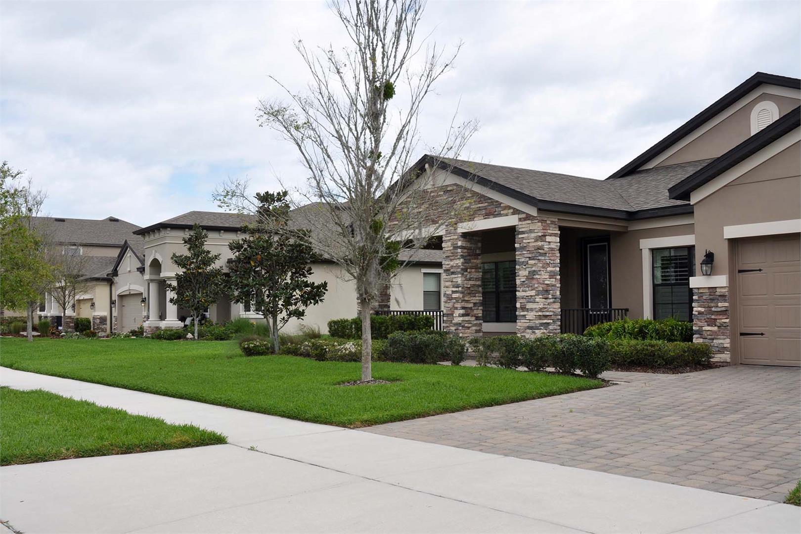 Starkey Ranch Albritton Park in Odessa, FL Prices, Plans, Availability