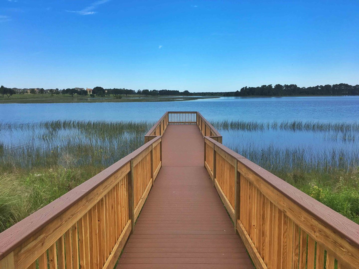 Lake Apopka Sound in Winter Garden, FL | Prices, Plans, Availability