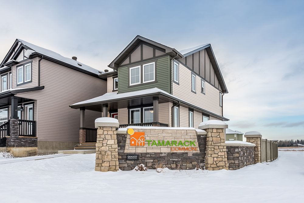 Tamarack Common in Edmonton, AB Prices, Plans, Availability Tamarack Common in Edmonton, AB Prices, Plans, Availability
