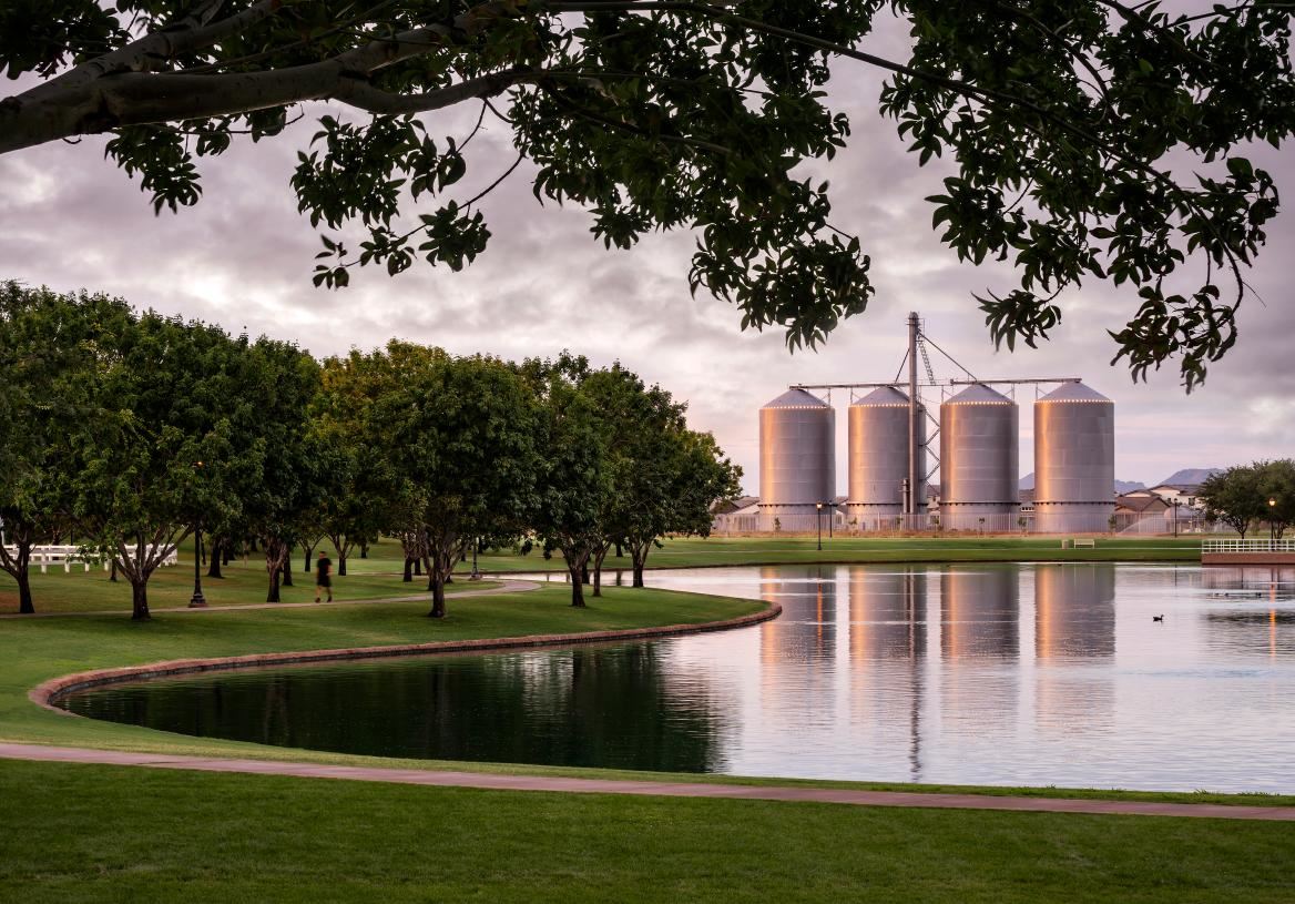 Flora at Morrison Ranch in Gilbert, AZ Prices, Plans, Availability