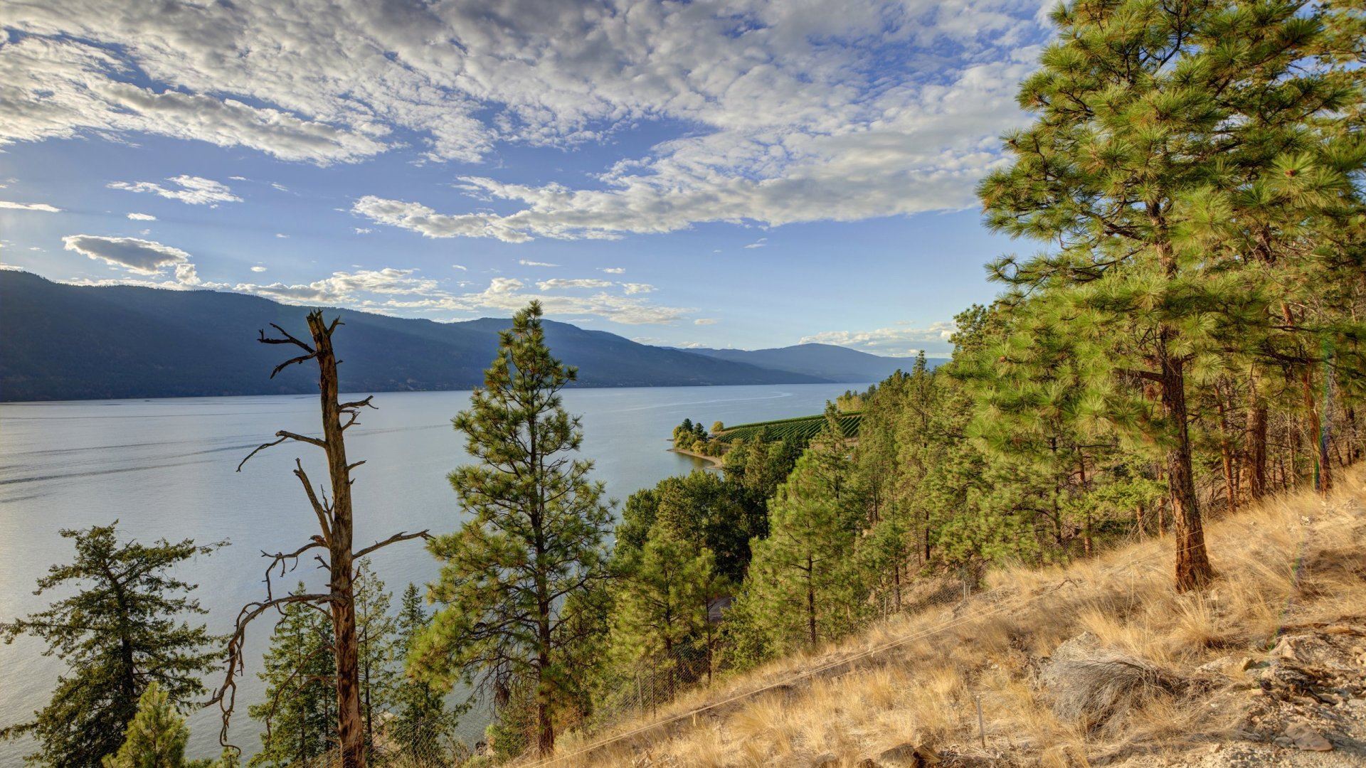 Lakestone in Lake Country, BC Prices, Plans, Availability