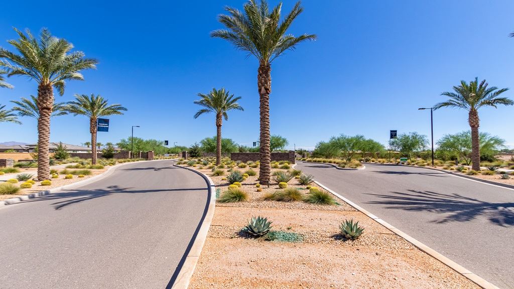 Ovation at Meridian 55+ in Queen Creek, AZ Prices, Plans, Availability