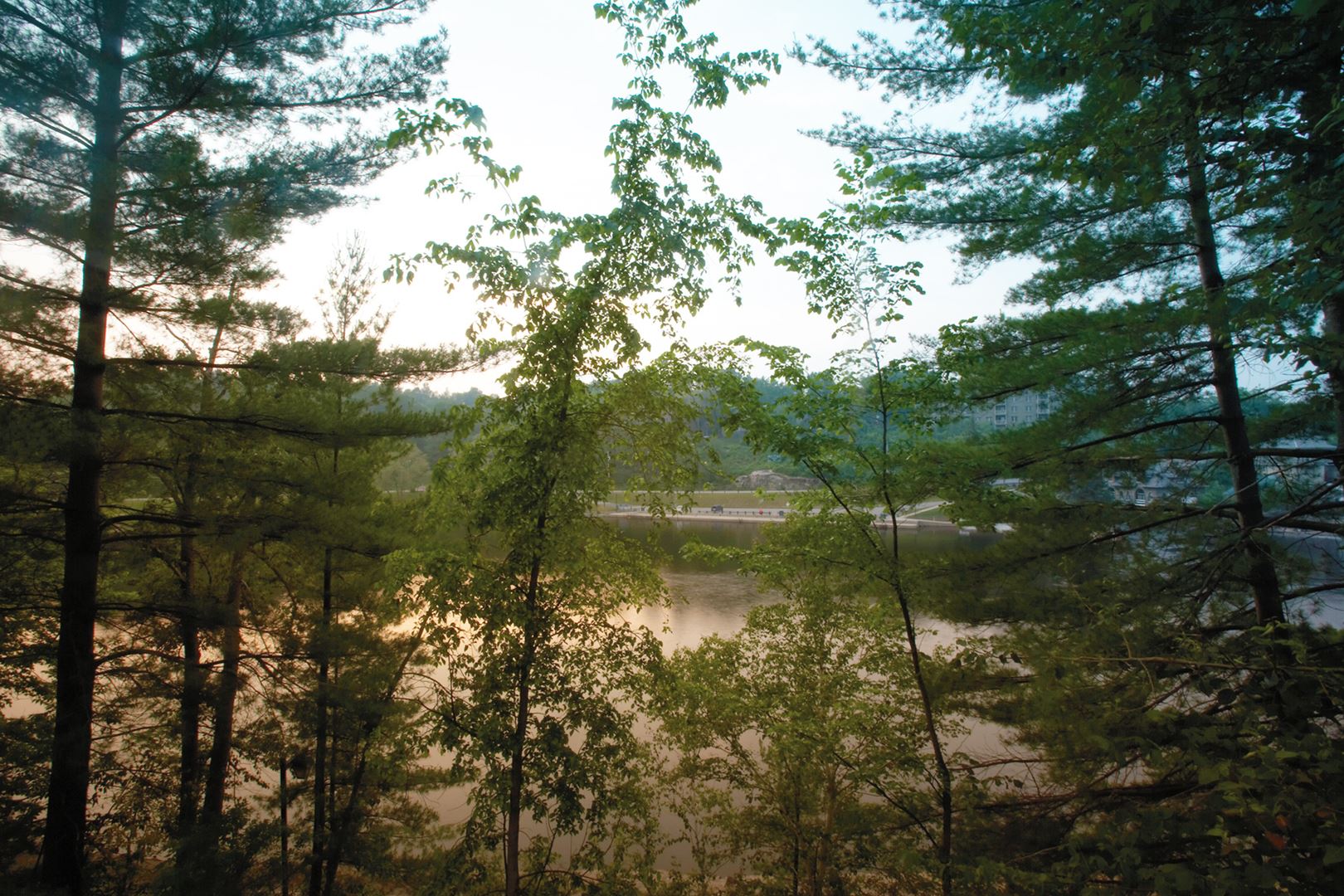 Exterior photo of White Pines