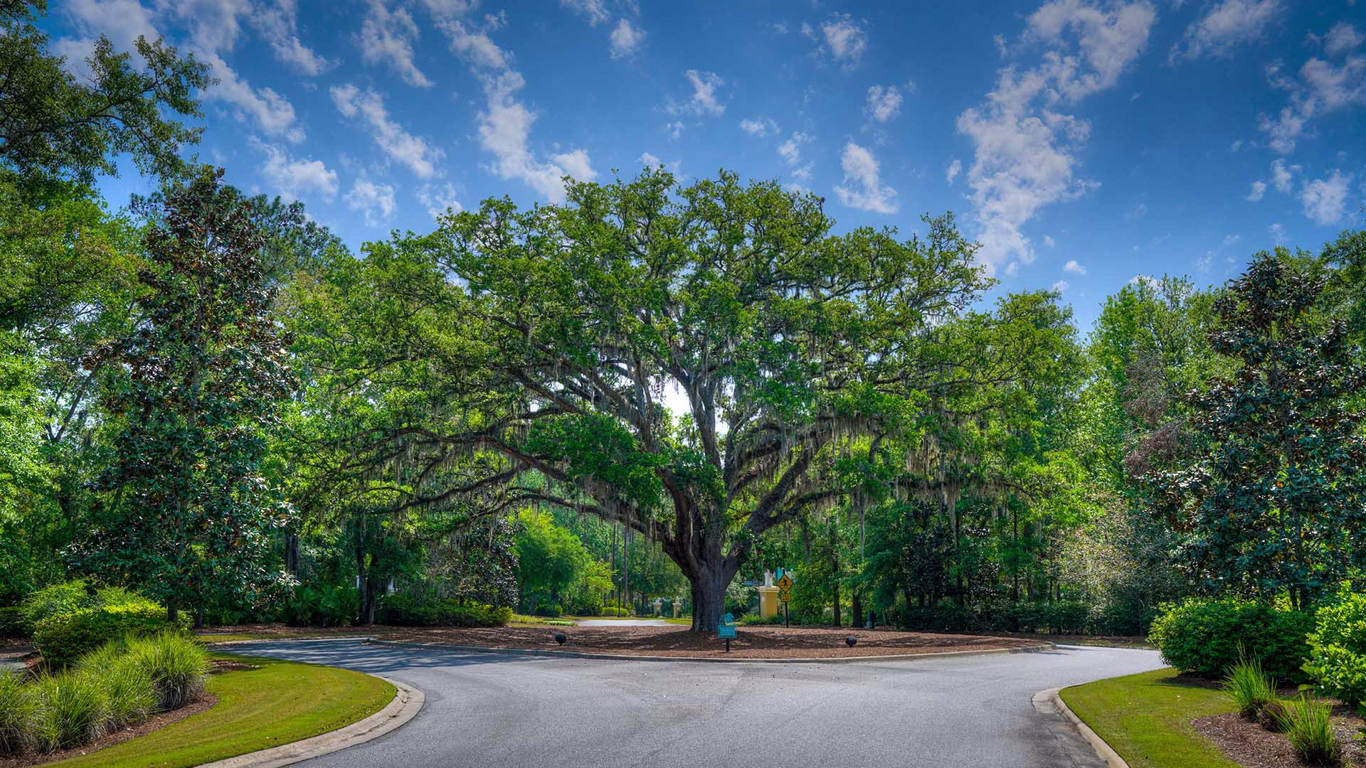 Osprey Cove in St. Marys, GA Prices, Plans, Availability